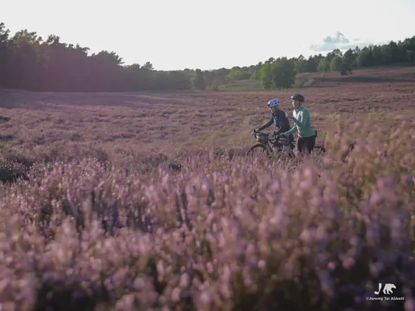Fischbeker Heide