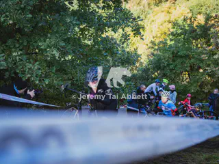 galleryImage